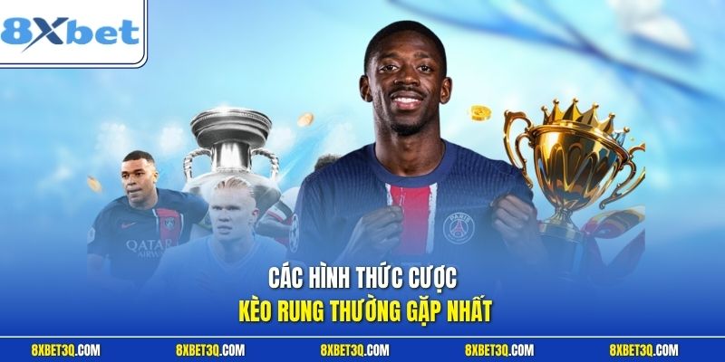 Các hình thức cược kèo rung thường gặp nhất