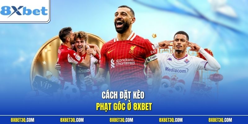 Cách đặt kèo phạt góc ở 8XBET