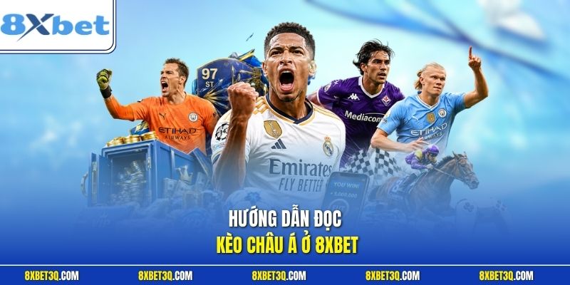 Hướng dẫn đọc kèo châu Á ở 8XBET