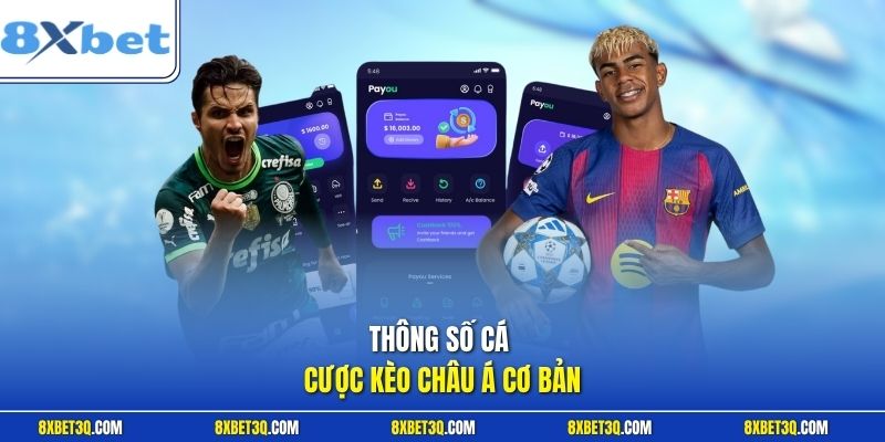 Thông số cá cược kèo châu Á cơ bản