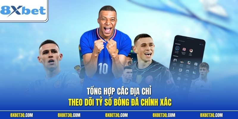Tổng hợp các địa chỉ theo dõi tỷ số bóng đá chính xác