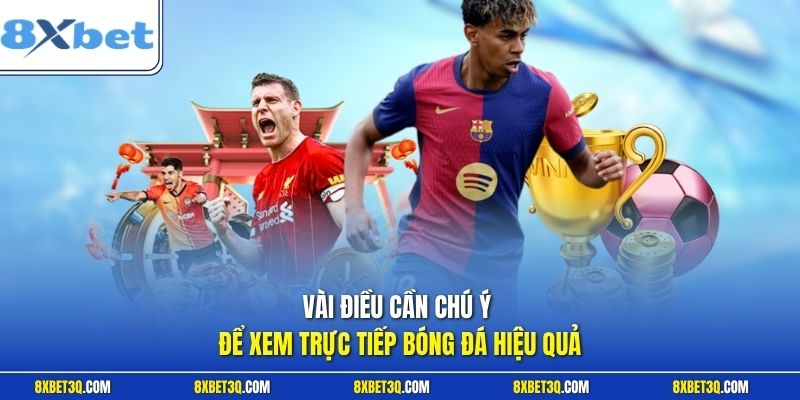 Vài điều cần chú ý để xem trực tiếp bóng đá hiệu quả